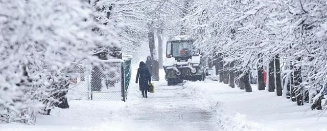 До -24 градусов похолодает в Псковской области